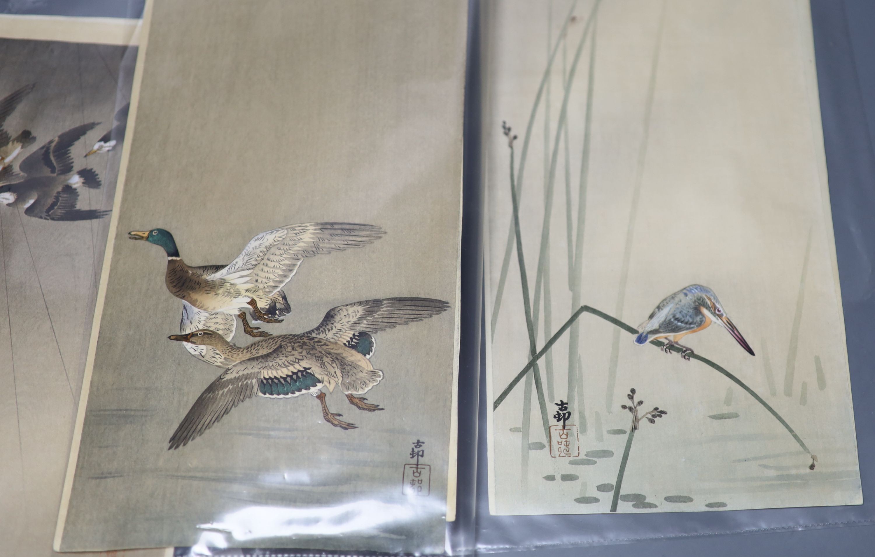 Six Ohara Koson woodblock prints of birds and a monkey, 36.5 x 19 cm